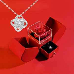 Eternal Red Apple Jewelry Box Necklace Rose for Valentine's Day  with Artificial Flower